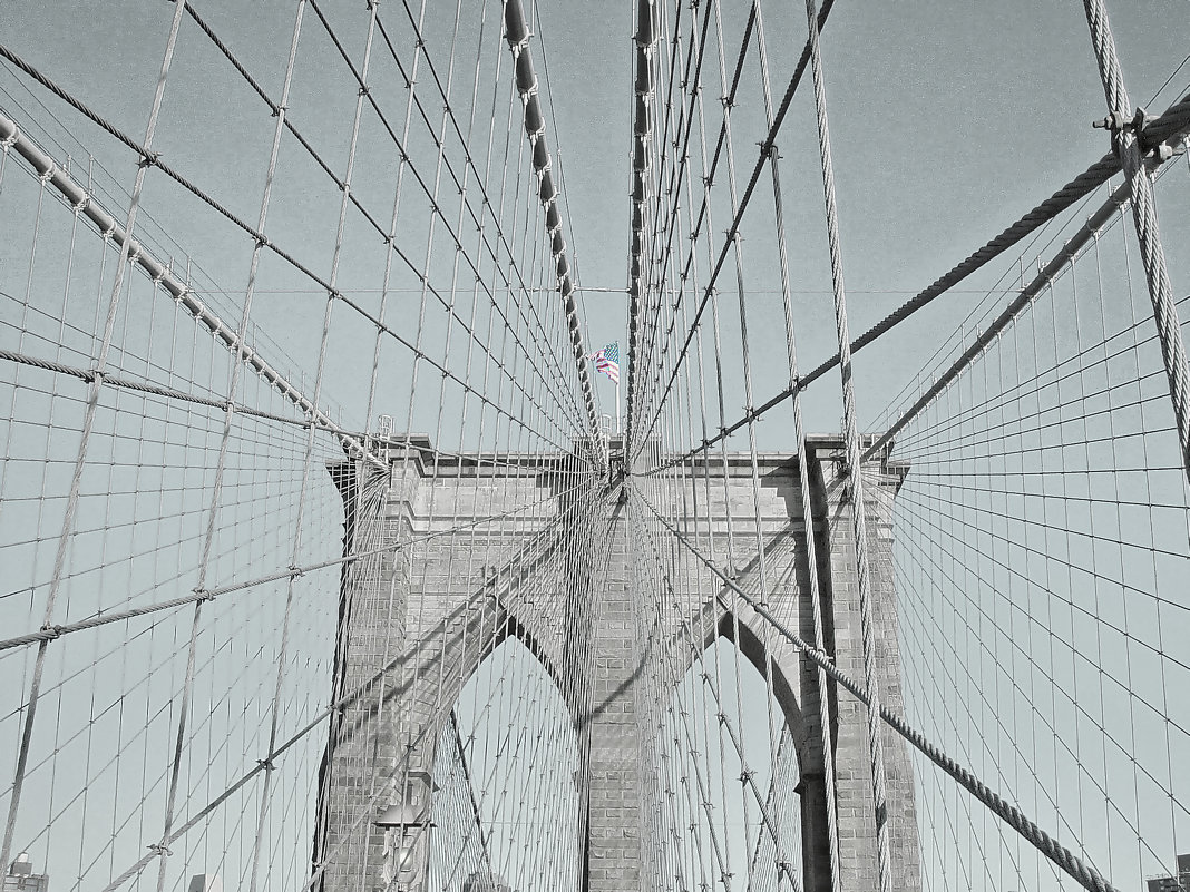 бруклинский мост - Света Ли