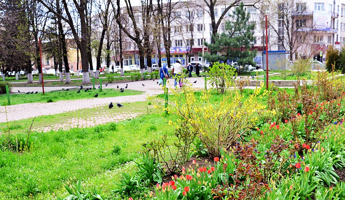 Весна в городе - Владимир Болдырев