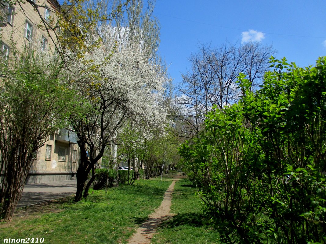 Ростовская весна - Нина Бутко