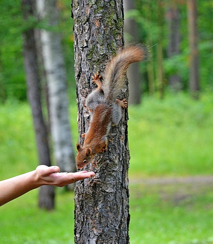 *** - александр 