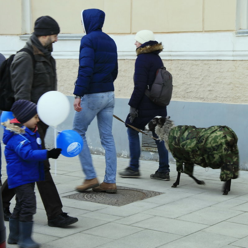 По улице водили... - Владимир однакО... 