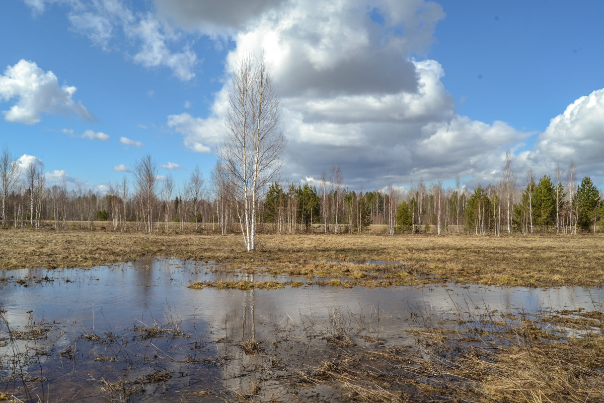 вода на покосах - сергей 