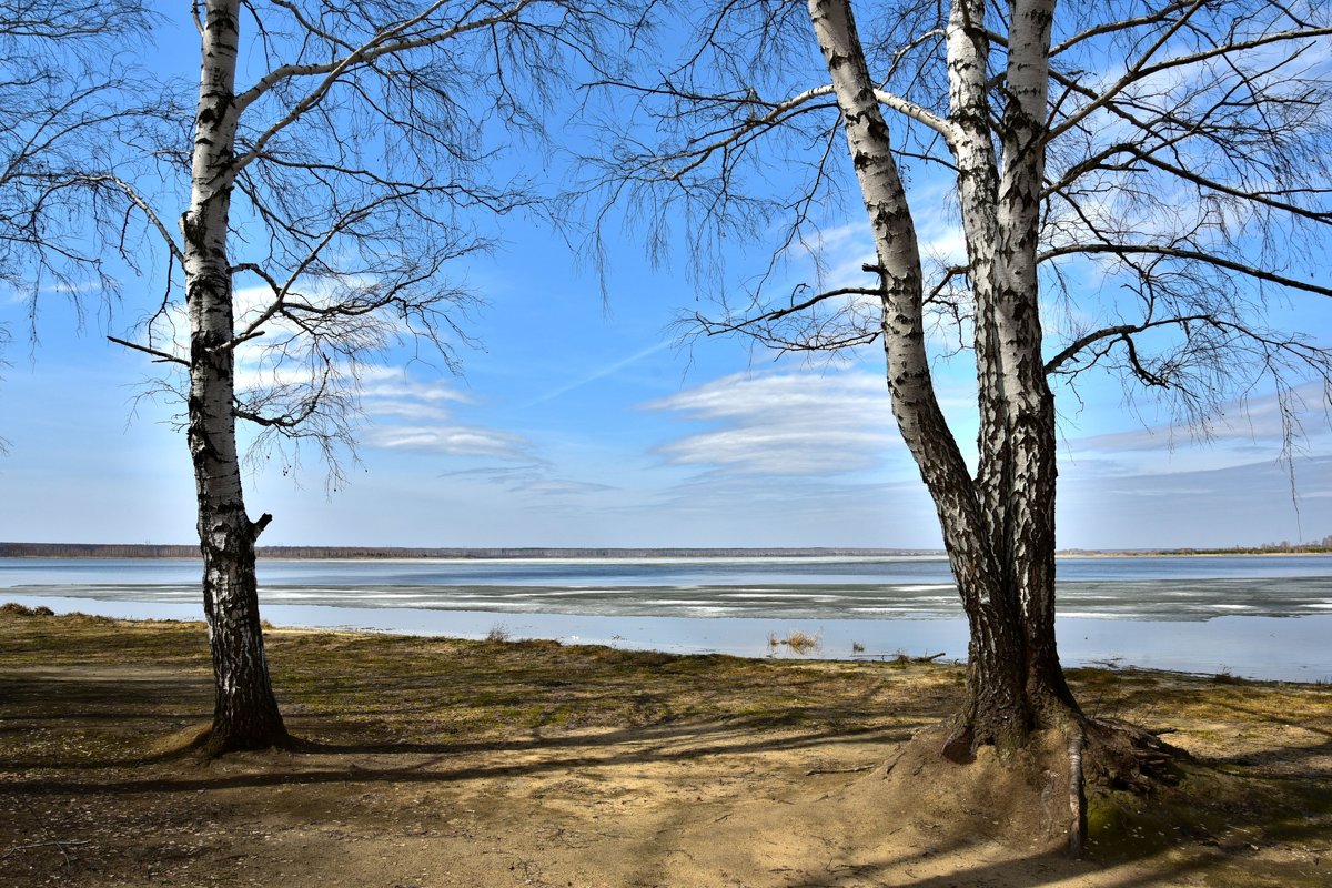 На озере в апреле - Геннадий Ячменев