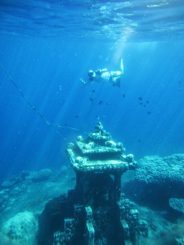 Подводный мир.Бали - Творческая группа КИВИ