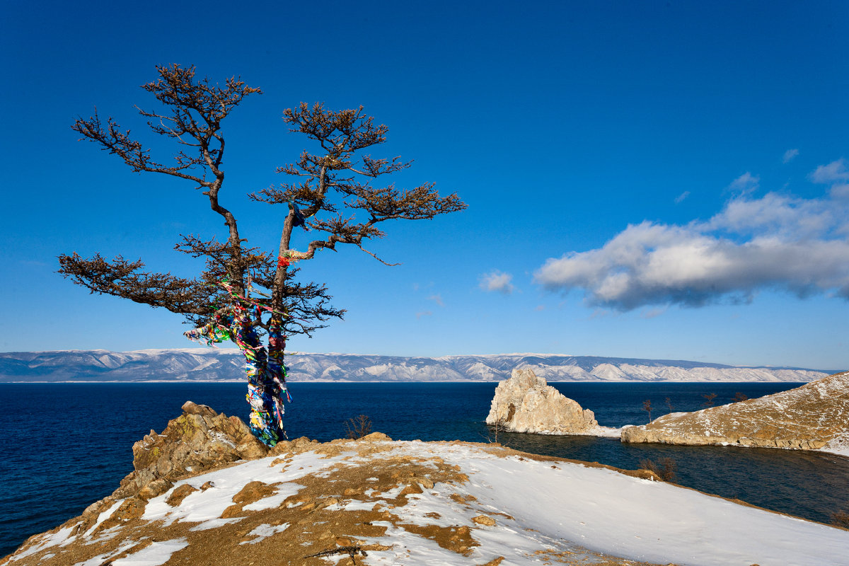 Священное дерево на берегу острова - Анатолий Иргл
