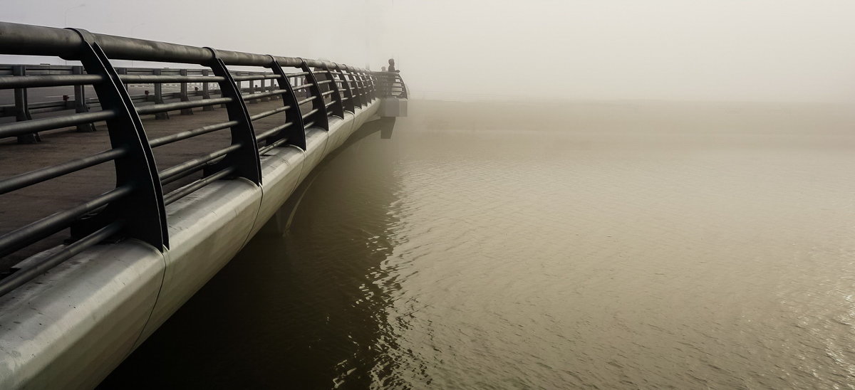 Мост рыбака в тумане - Владимир Гилясев