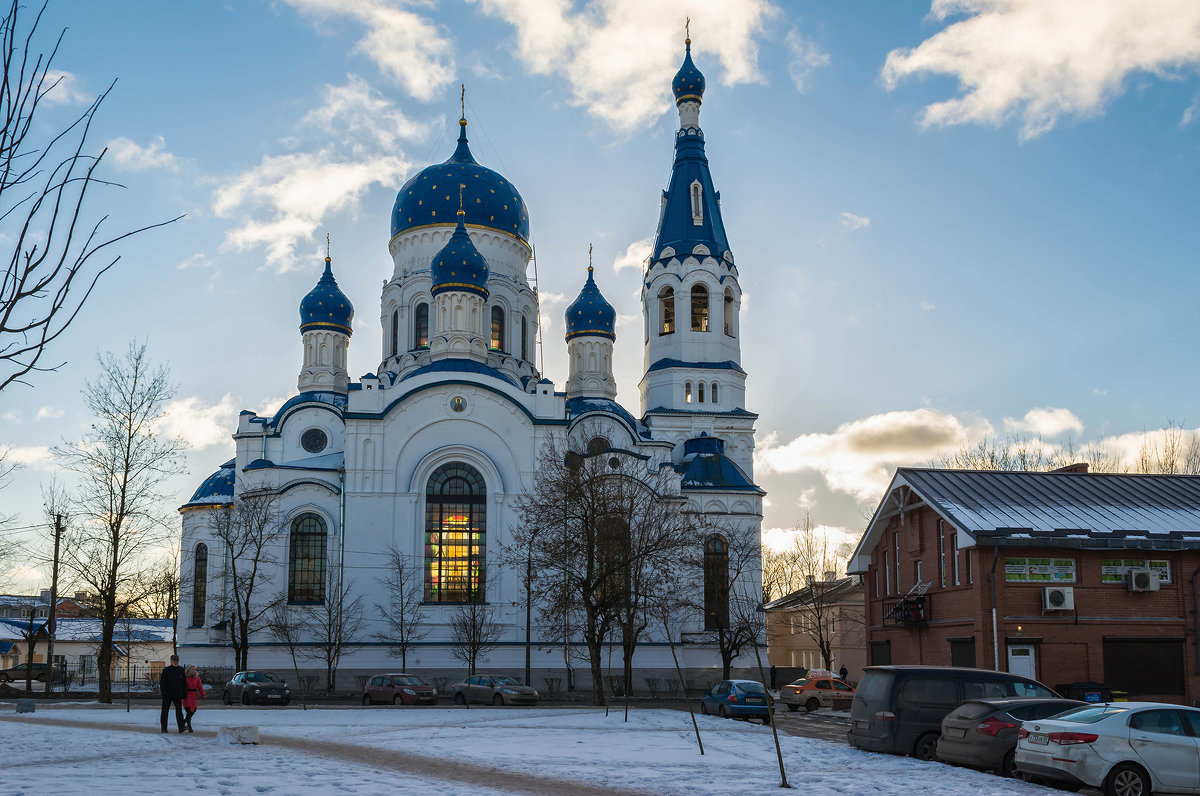 Купола собор Гатчина