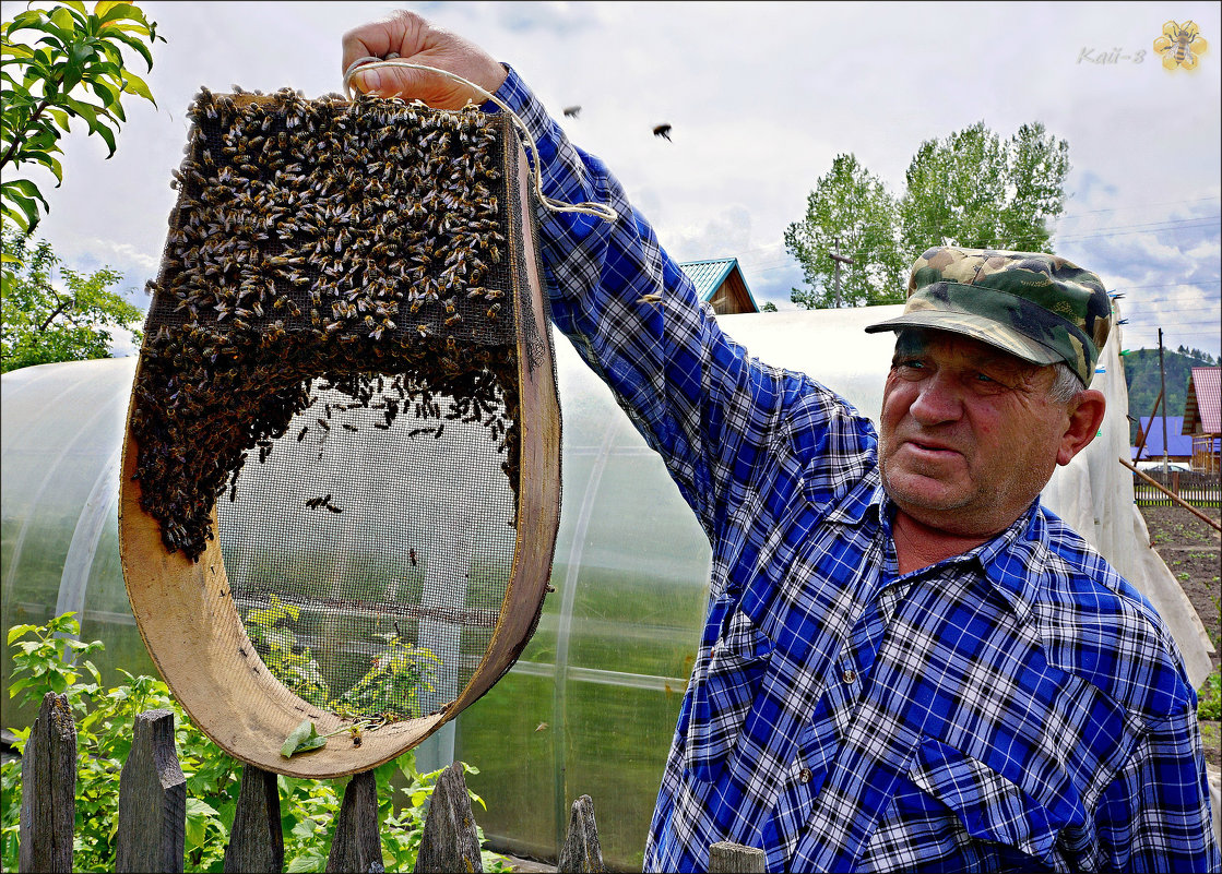 Пчеловод - Кай-8 (Ярослав) Забелин