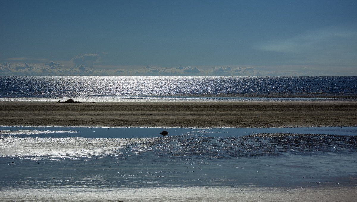 Белое море, убылая вода - Павел Харлин