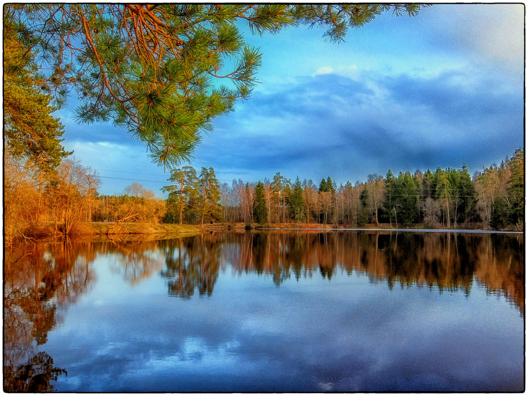 Красный пруд - Сергей Базылев