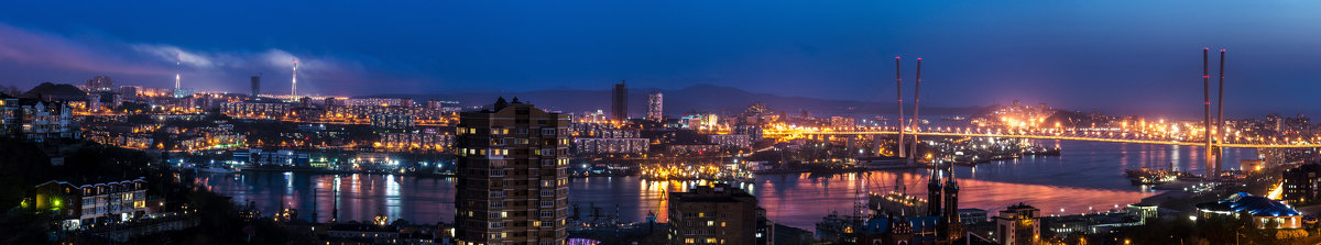 Ночная панорама бухты Золотой Рог - Дмитрий 