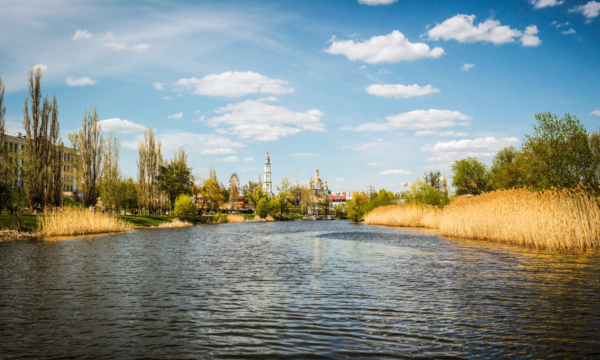 Весенний день на реке Цне..................... - Александр Селезнев