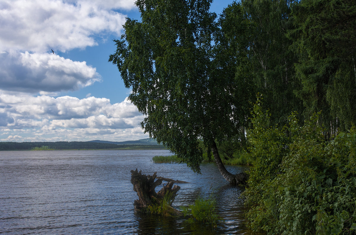 Лесное озеро - vladimir Bormotov