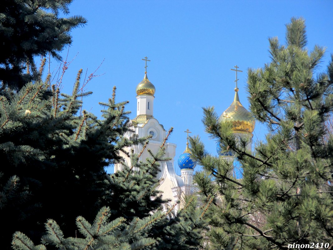 Купола храма Казанской иконы Божией Матери - Нина Бутко