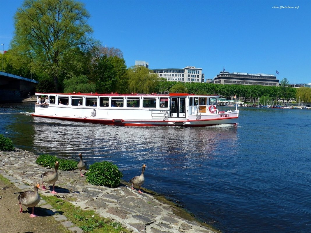 Alster. Hamburg - Nina Yudicheva