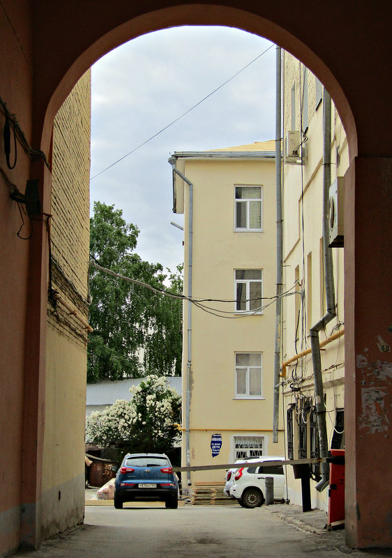 Сирень в городе - наталия 