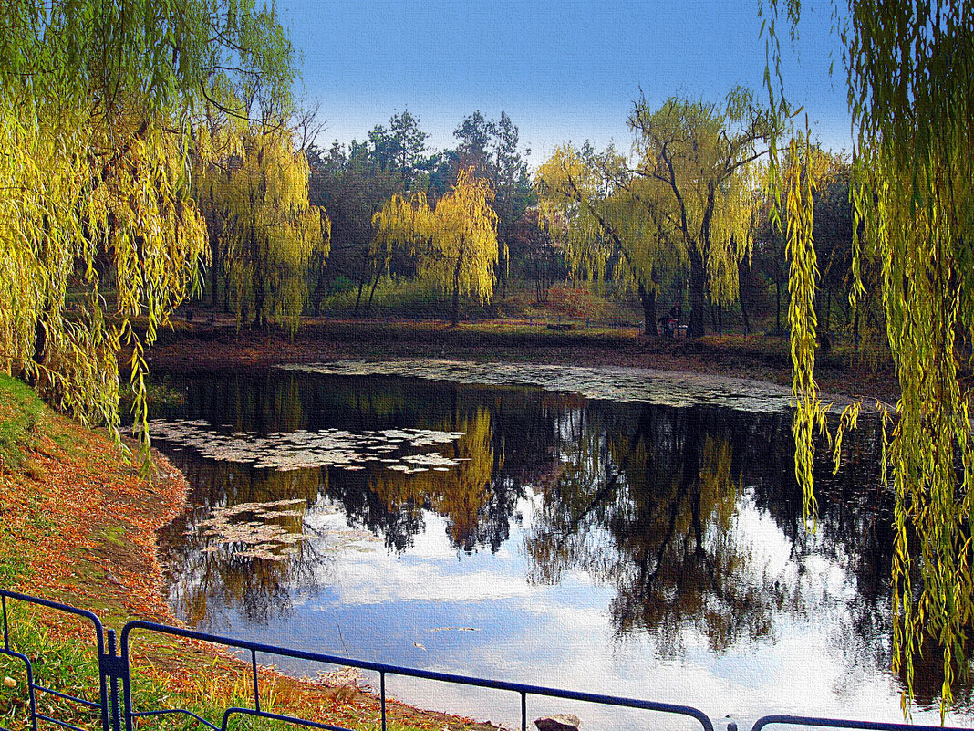 Осенний парк - Мария Богуславская