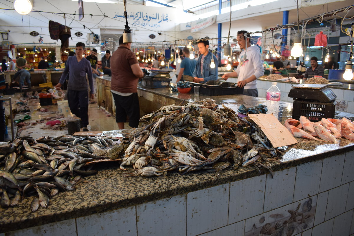 Рынок  Туниса - Марина 