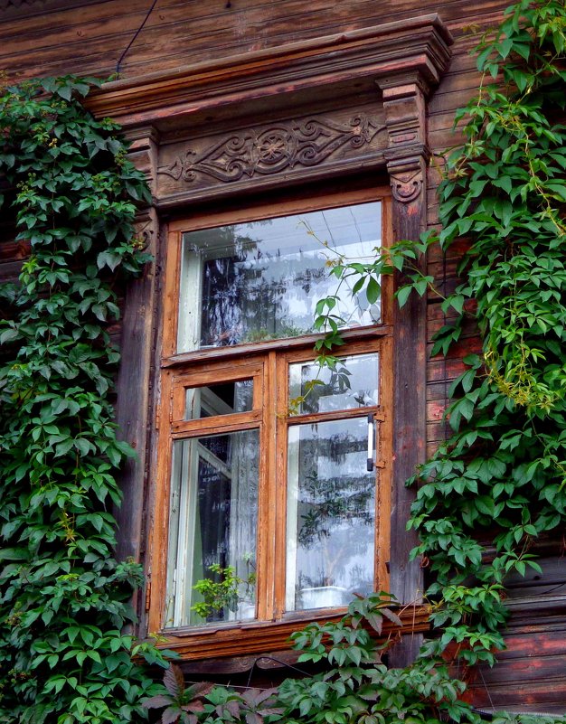 окно, увитое плющом - Наталья Сазонова