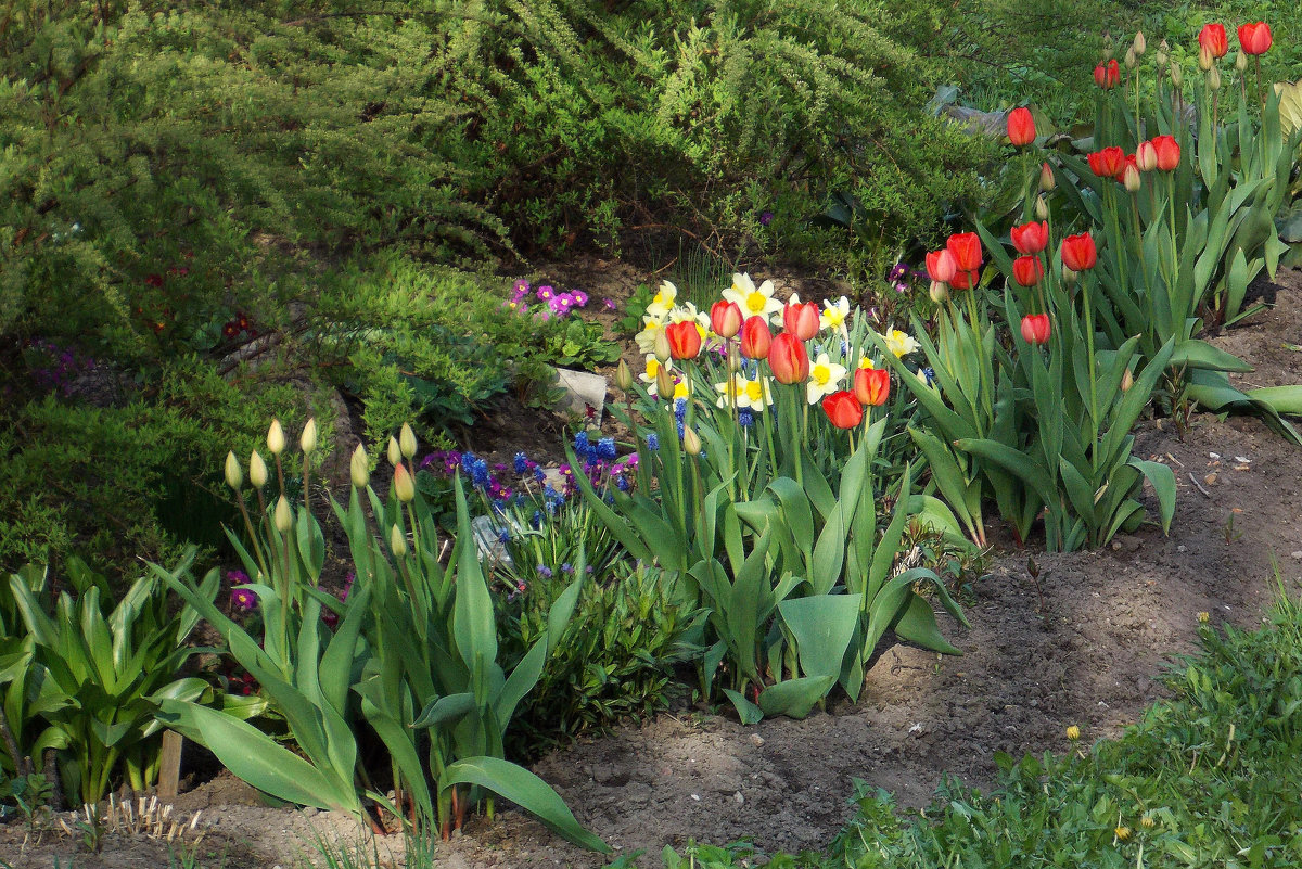 Вот он, май, светлый май - Фотогруппа Весна