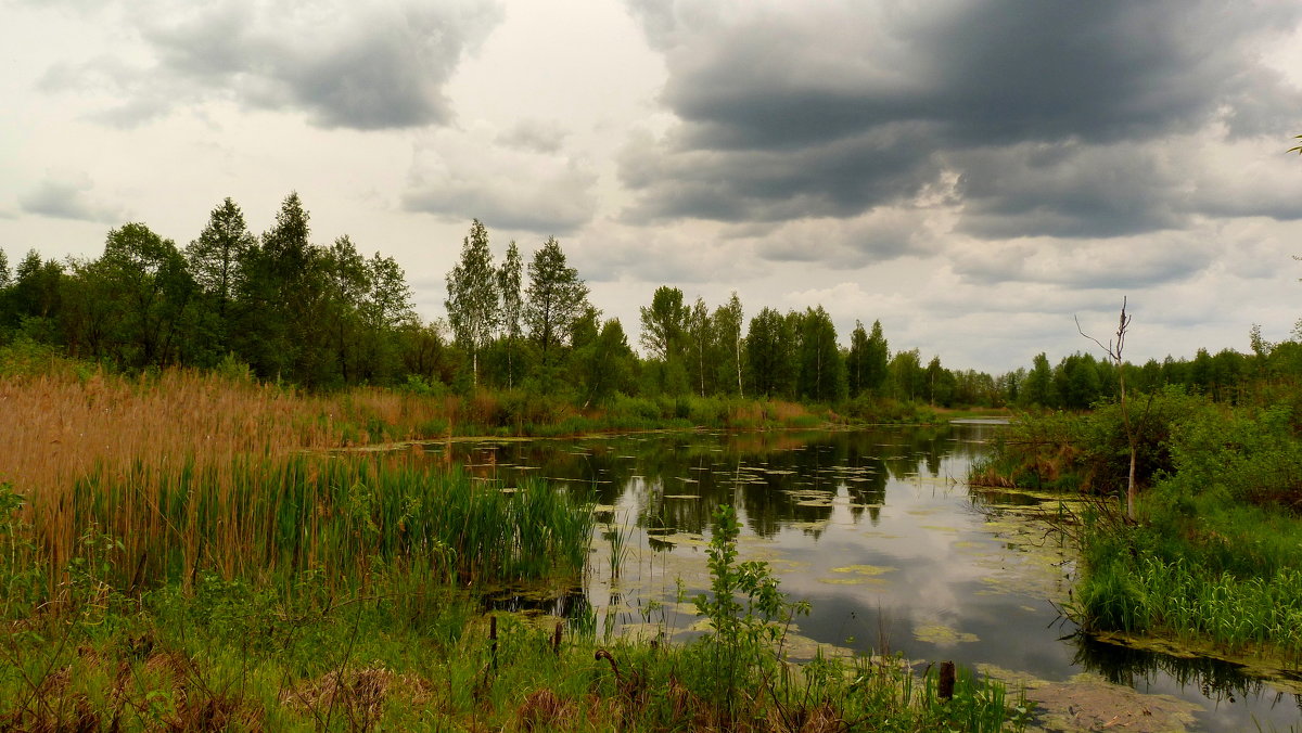 озеро в хмурую погоду - Александр Прокудин