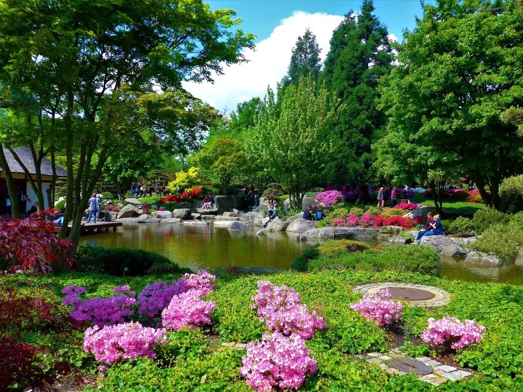 Planten un Blomen. Hamburg - Nina Yudicheva