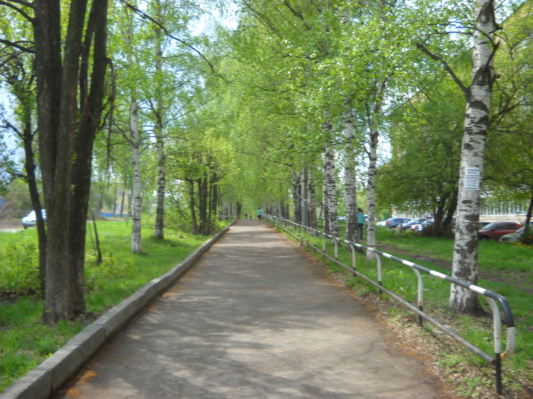 В городе весна - Александр Попков