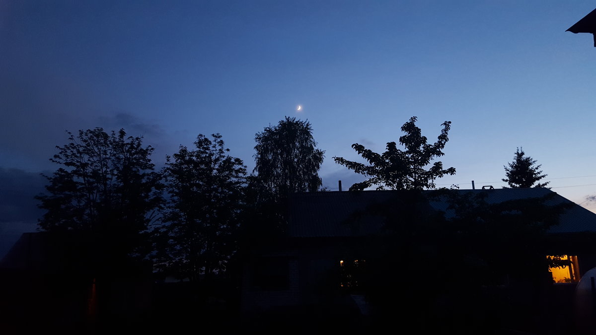 Вечер,деревья,месяц - Александр Жирный