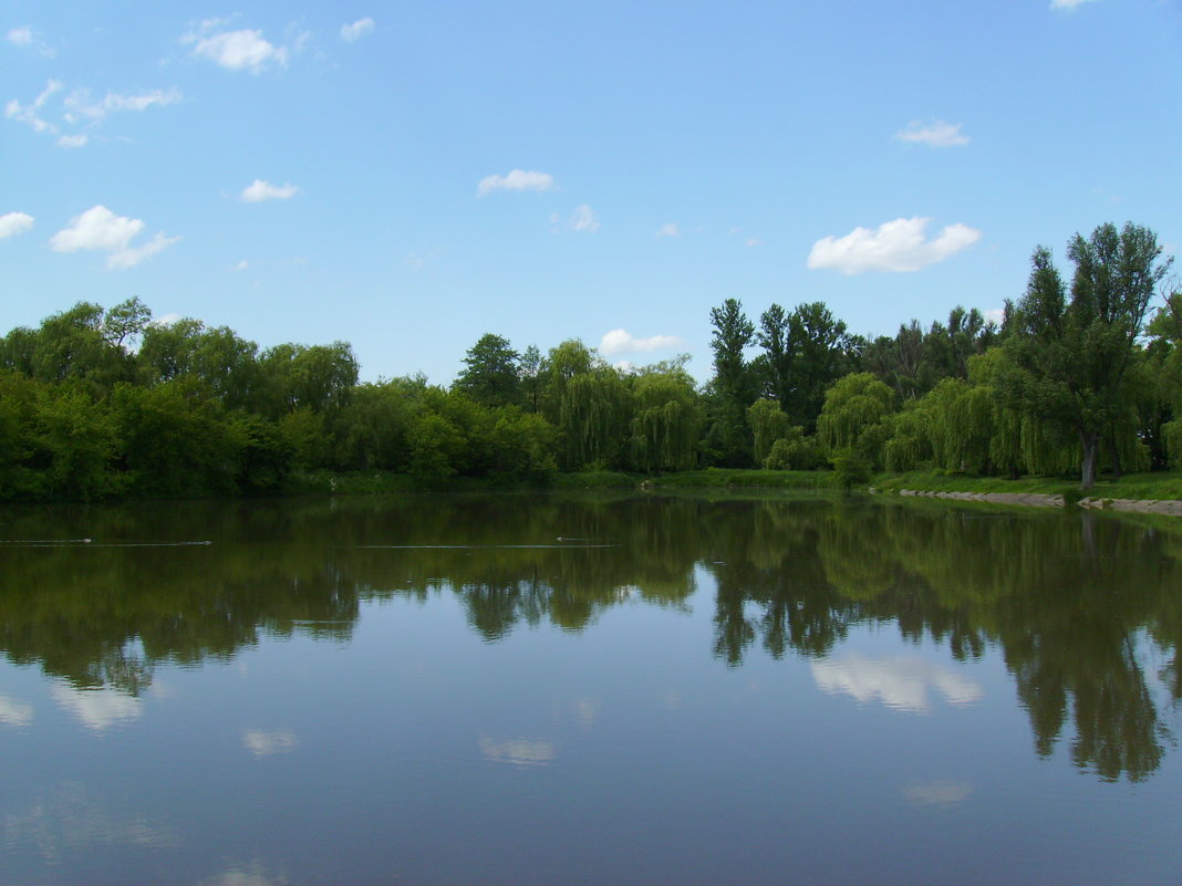 Небольшое   озеро  в   Ивано - Франковске - Андрей  Васильевич Коляскин