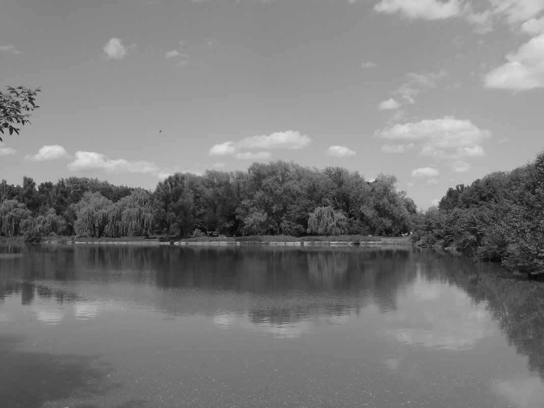 Небольшое   озеро   в   Ивано - Франковске  ,  Украина . - Андрей  Васильевич Коляскин