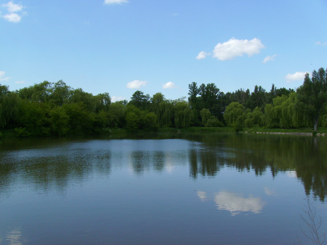 Небольшое   озеро   в   Ивано - Франковске - Андрей  Васильевич Коляскин