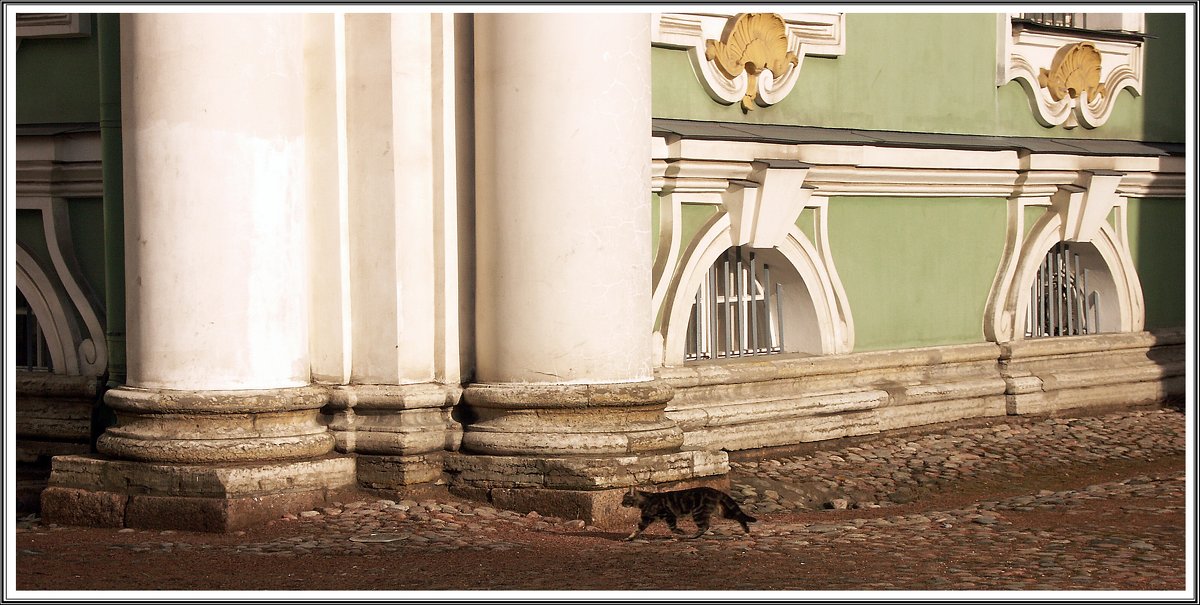 8 июня - Всемирный день петербургских котов и кошек - muh5257 