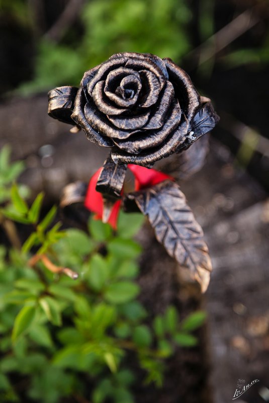 железная роза - Андрей Иванов