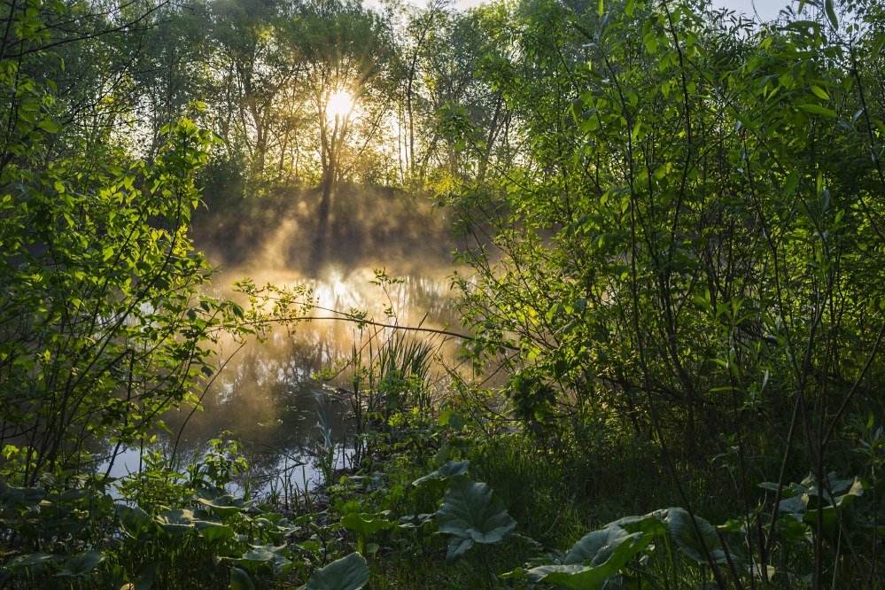 Солнечный рассвет с туманом - Сергей Корнев