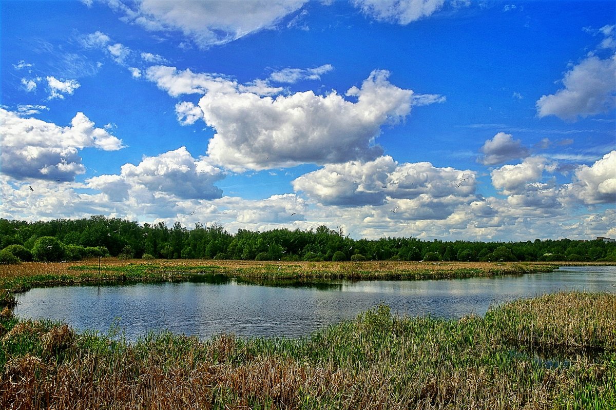 весенний пейзаж - megaden774 