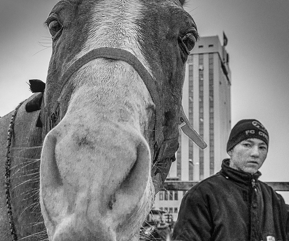 Конь в городе - Oleg Sharafutdinov