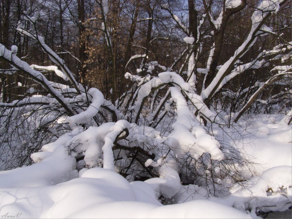 February 2011 - Анна Воробьева