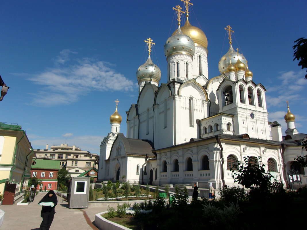 Зачатьевский монастырь - елена 