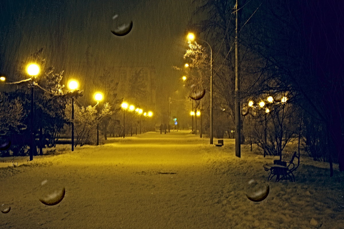 Вечерний парк в снегопад. - Aлександр **