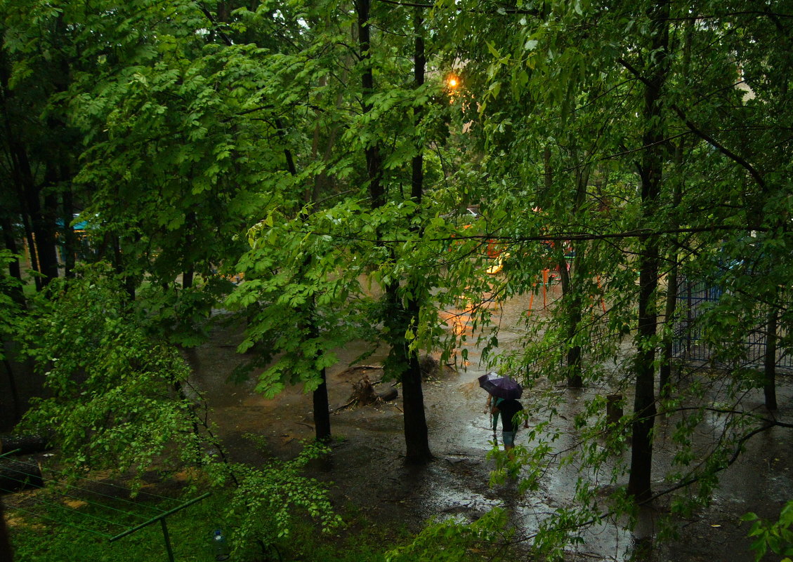 Дождливый день - Олег Пучков