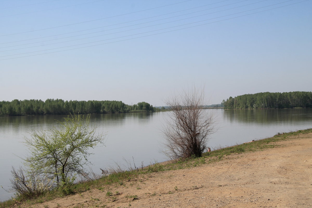 Река Бия в мае - Олег Афанасьевич Сергеев