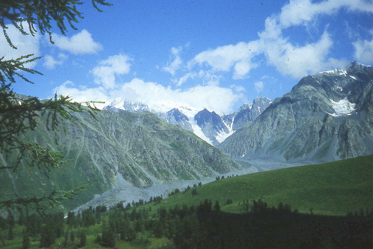 Алтай. Вид на Белуху с восточной стороны - Марина Домосилецкая