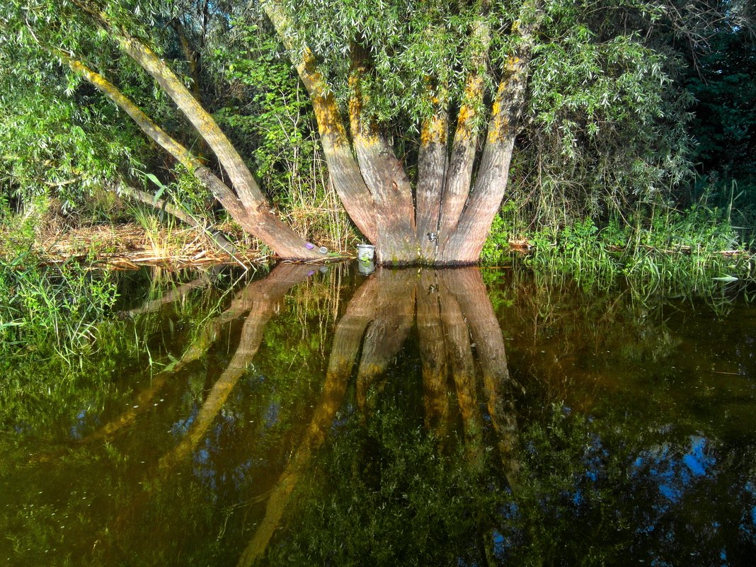 Вода - Владимир Сквирский