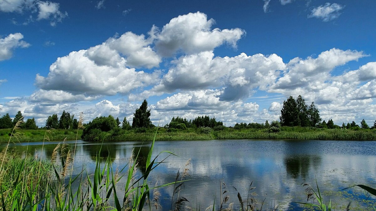 Озеро Чистик Тверская область Жарковский район