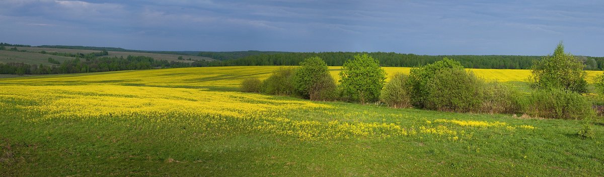 Весенний пейзаж - Константин 