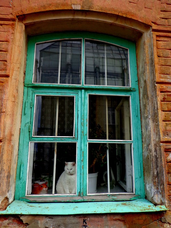 нижегородские окна - Наталья Сазонова