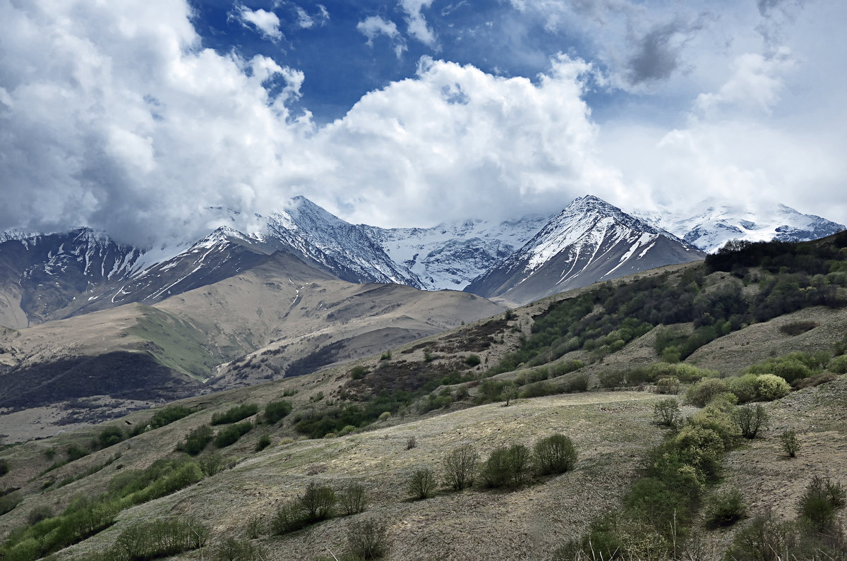 Горы Кавказа - Мария Климова