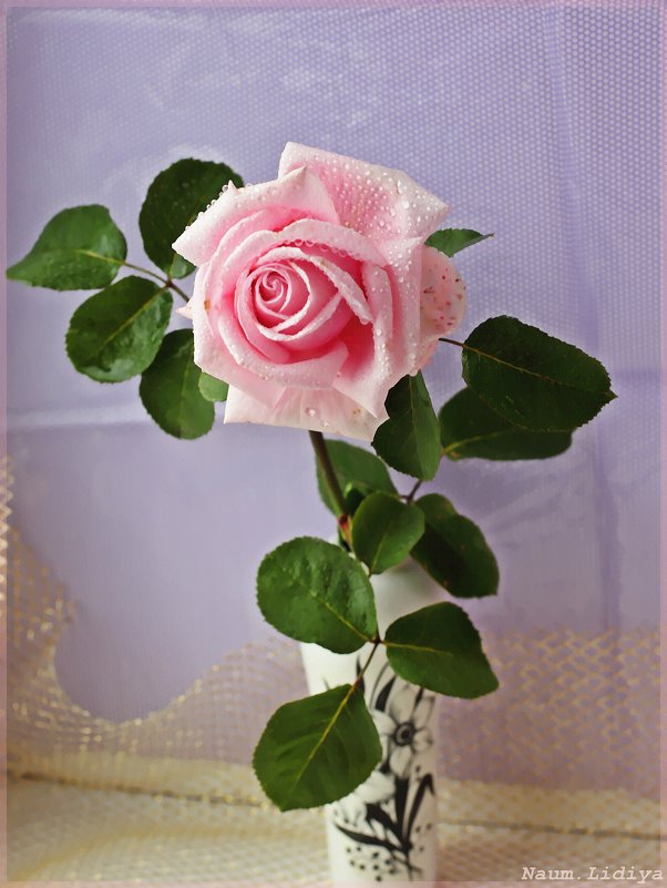 Роза для друзей,с любовью - Лидия (naum.lidiya)