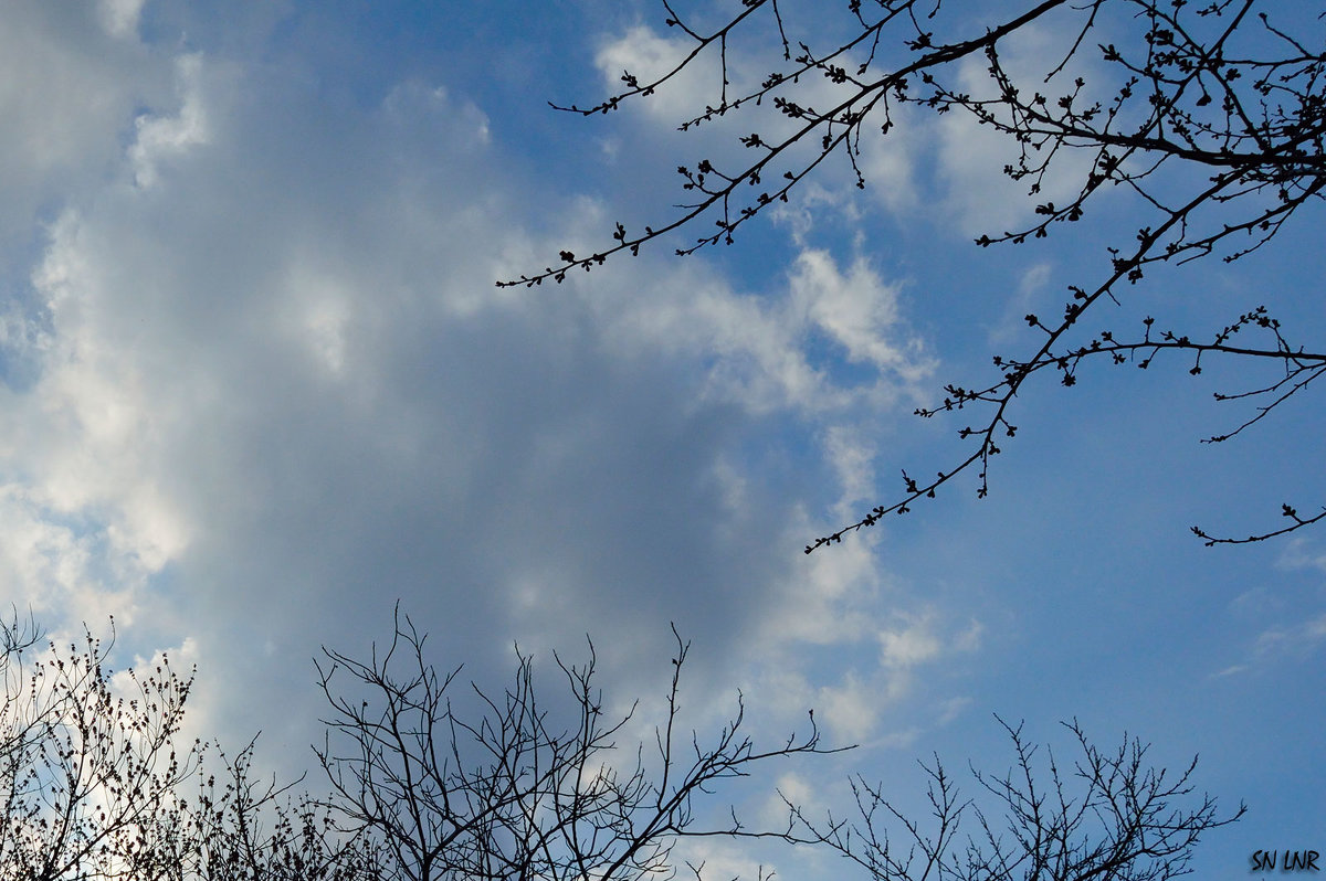Эстафетацвета. Голубая пятница - мирное небо над Луганском, во всей красе - Наталья (ShadeNataly) Мельник