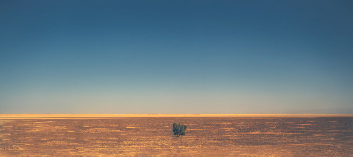 "Живущий" в одиночестве...Маранджаб песчано-солончаковая пустыня.Иран! - Александр Вивчарик